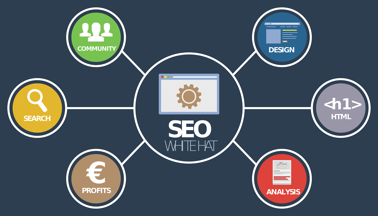 A Comprehensive Guide to Startups for SEO Optimization